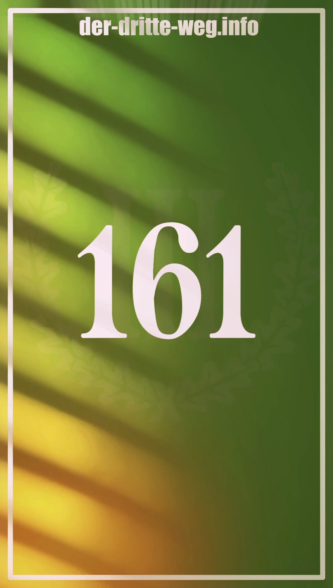 Was steckt hinter 161?